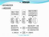 新高考生物一轮复习讲练课件：第21讲　染色体变异与育种（含解析）