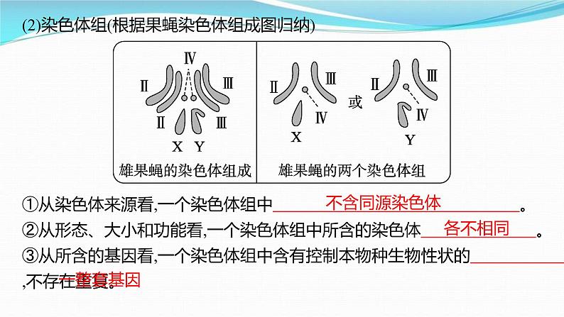 新高考生物一轮复习讲练课件：第21讲　染色体变异与育种（含解析）04