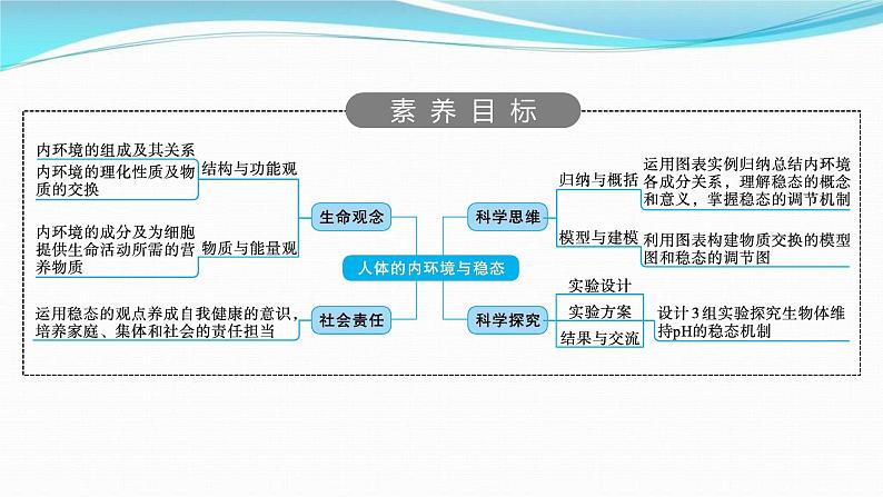 新高考生物一轮复习讲练课件：第23讲　人体的内环境与稳态（含解析）02