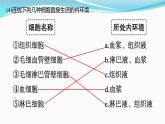 新高考生物一轮复习讲练课件：第23讲　人体的内环境与稳态（含解析）