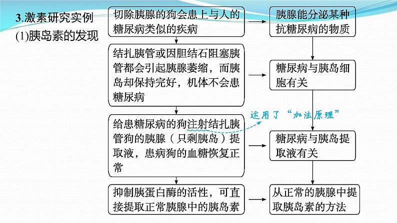 新高考生物一轮复习讲练课件：第25讲　体液调节（含解析）07