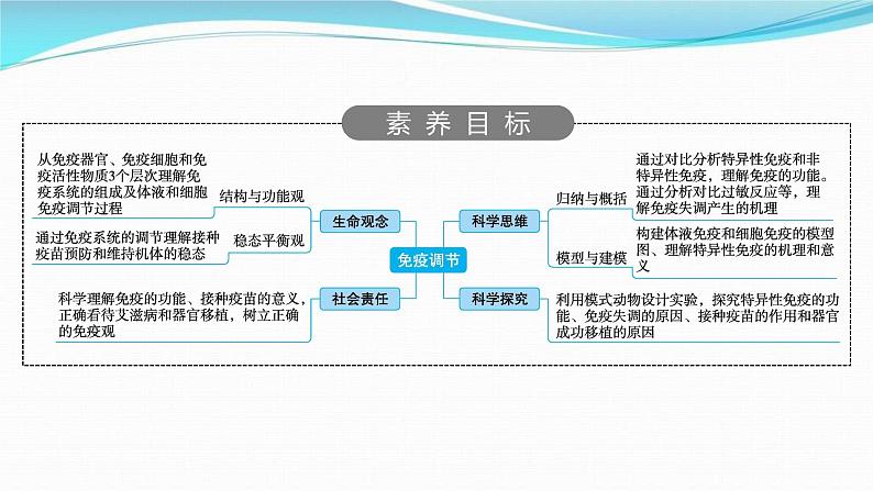 新高考生物一轮复习讲练课件：第26讲　免疫调节（含解析）02