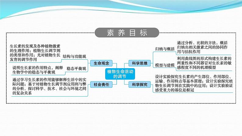 新高考生物一轮复习讲练课件：第27讲　植物生命活动的调节（含解析）第2页