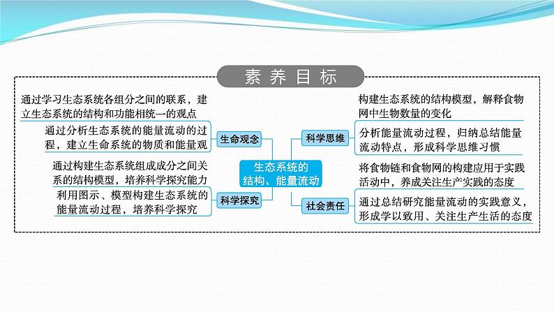 新高考生物一轮复习讲练课件：第30讲　生态系统的结构、能量流动（含解析）02