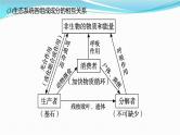 新高考生物一轮复习讲练课件：第30讲　生态系统的结构、能量流动（含解析）