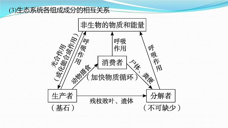 新高考生物一轮复习讲练课件：第30讲　生态系统的结构、能量流动（含解析）05