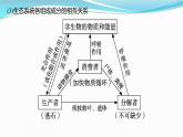 新高考生物一轮复习讲练课件：第30讲　生态系统的结构、能量流动（含解析）