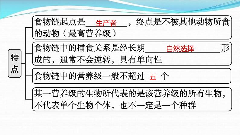 新高考生物一轮复习讲练课件：第30讲　生态系统的结构、能量流动（含解析）07