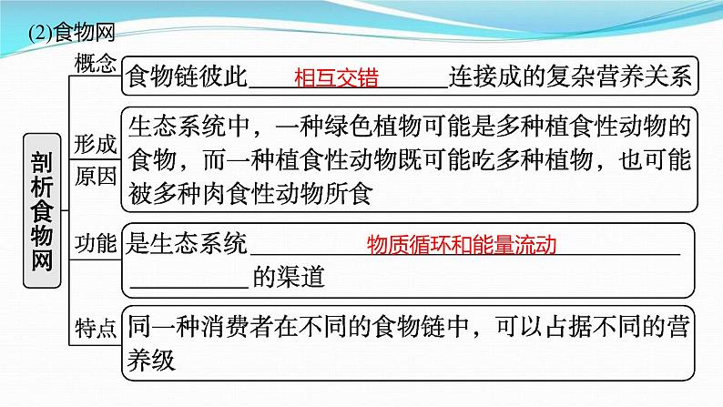 新高考生物一轮复习讲练课件：第30讲　生态系统的结构、能量流动（含解析）08