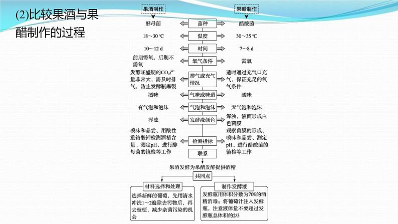 新高考生物一轮复习讲练课件：第33讲　发酵工程（含解析）第8页