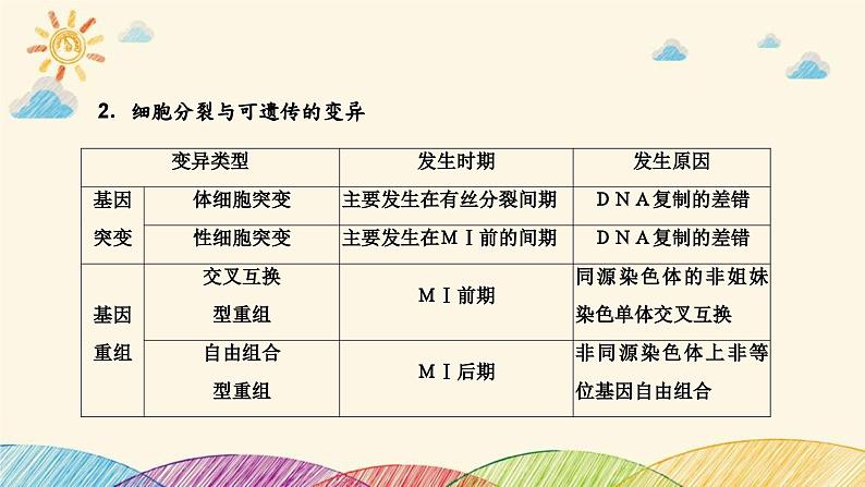 新高考生物二轮重点讲练课件：科学思维之微专题1细胞分裂与遗传变异（含解析）03