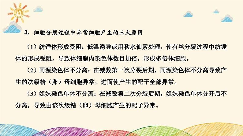 新高考生物二轮重点讲练课件：科学思维之微专题1细胞分裂与遗传变异（含解析）05