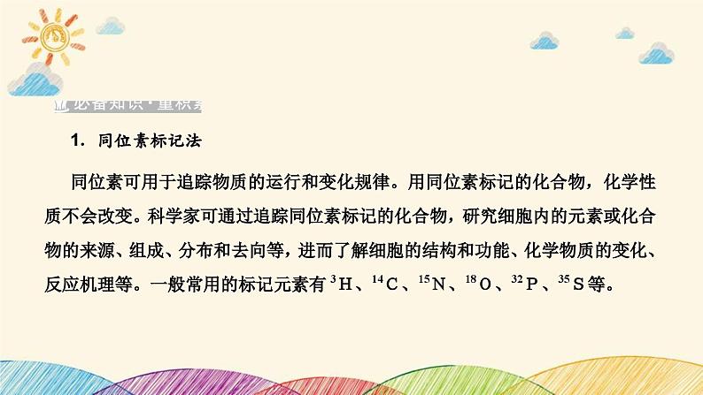 新高考生物二轮重点讲练课件：科学思维之微专题2结合同位素标记研究细胞分裂中的ＤＮＡ复制（含解析）第2页