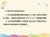 新高考生物二轮重点讲练课件：科学思维之微专题2结合同位素标记研究细胞分裂中的ＤＮＡ复制（含解析）