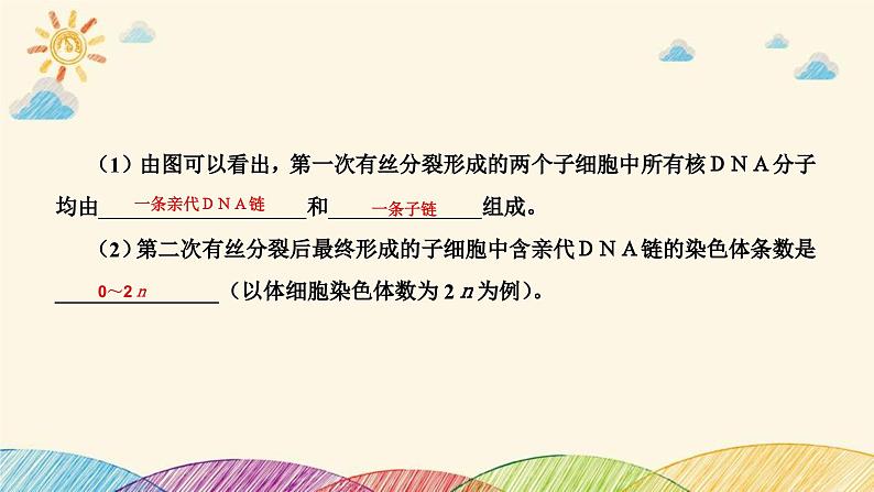 新高考生物二轮重点讲练课件：科学思维之微专题2结合同位素标记研究细胞分裂中的ＤＮＡ复制（含解析）第7页