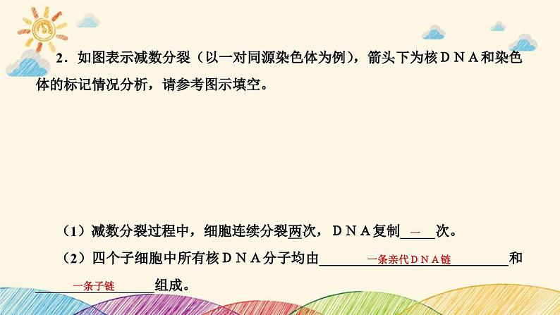 新高考生物二轮重点讲练课件：科学思维之微专题2结合同位素标记研究细胞分裂中的ＤＮＡ复制（含解析）第8页