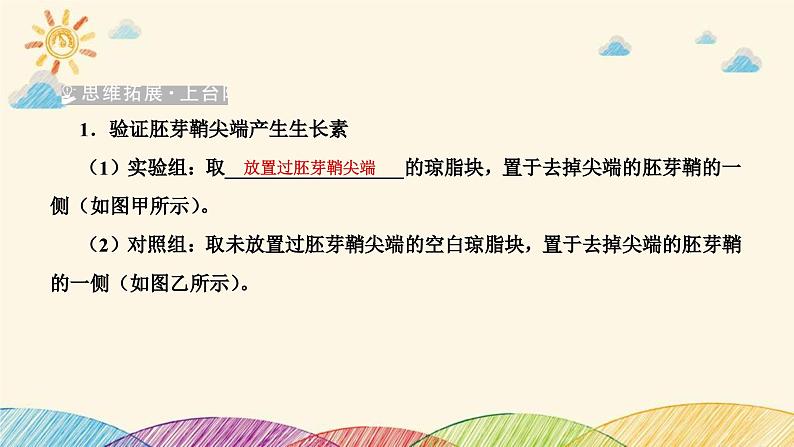 新高考生物二轮重点讲练课件：科学探究之微专题4与植物激素有关的实验探究与分析（含解析）第6页