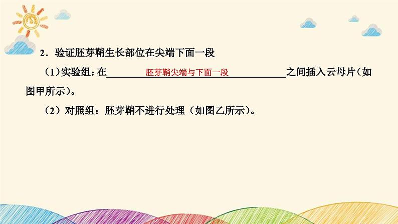 新高考生物二轮重点讲练课件：科学探究之微专题4与植物激素有关的实验探究与分析（含解析）第7页