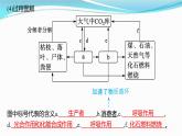 新高考生物一轮复习讲练课件：第31讲　生态系统的物质循环、信息传递及其稳定性（含解析）