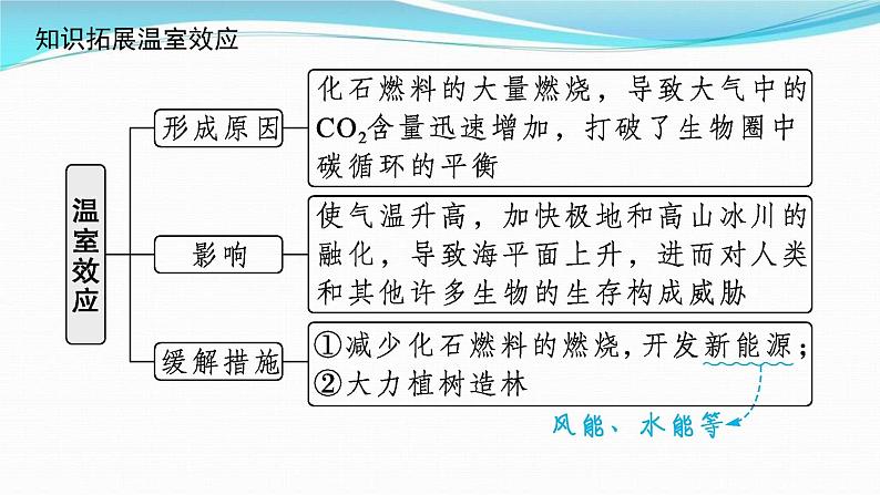 新高考生物一轮复习讲练课件：第31讲　生态系统的物质循环、信息传递及其稳定性（含解析）06