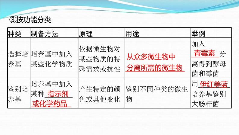 新高考生物一轮复习讲练课件：第34讲　微生物的培养技术及应用（含解析）05