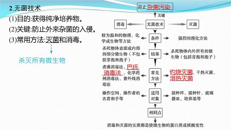 新高考生物一轮复习讲练课件：第34讲　微生物的培养技术及应用（含解析）07