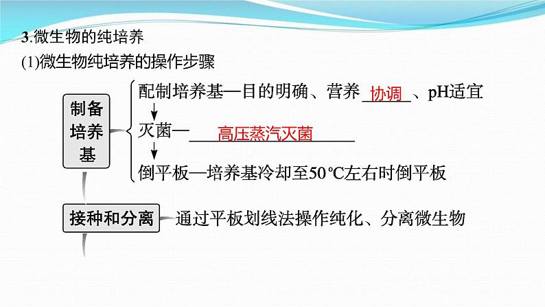 新高考生物一轮复习讲练课件：第34讲　微生物的培养技术及应用（含解析）08