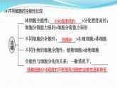 新高考生物一轮复习讲练课件：第35讲　细胞工程（含解析）