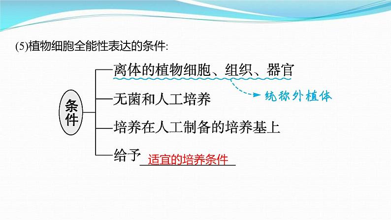 新高考生物一轮复习讲练课件：第35讲　细胞工程（含解析）第6页