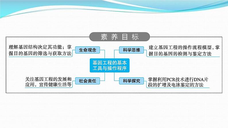 新高考生物一轮复习讲练课件：第37讲　基因工程的基本工具与操作程序（含解析）第2页