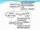 新高考生物一轮复习讲练课件：第37讲　基因工程的基本工具与操作程序（含解析）