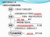 新高考生物一轮复习讲练课件：第37讲　基因工程的基本工具与操作程序（含解析）