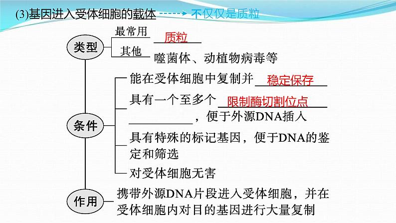 新高考生物一轮复习讲练课件：第37讲　基因工程的基本工具与操作程序（含解析）第8页