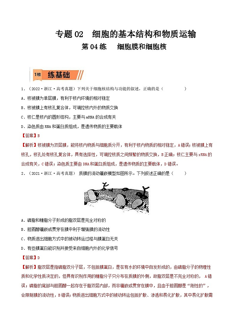 新高考生物一轮复习小题过关训练第04练 细胞膜和细胞核（含解析）01