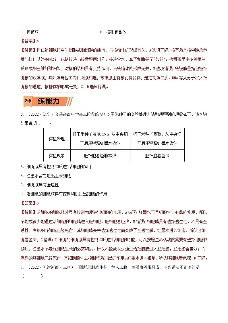 新高考生物一轮复习小题过关训练第04练 细胞膜和细胞核（含解析）03