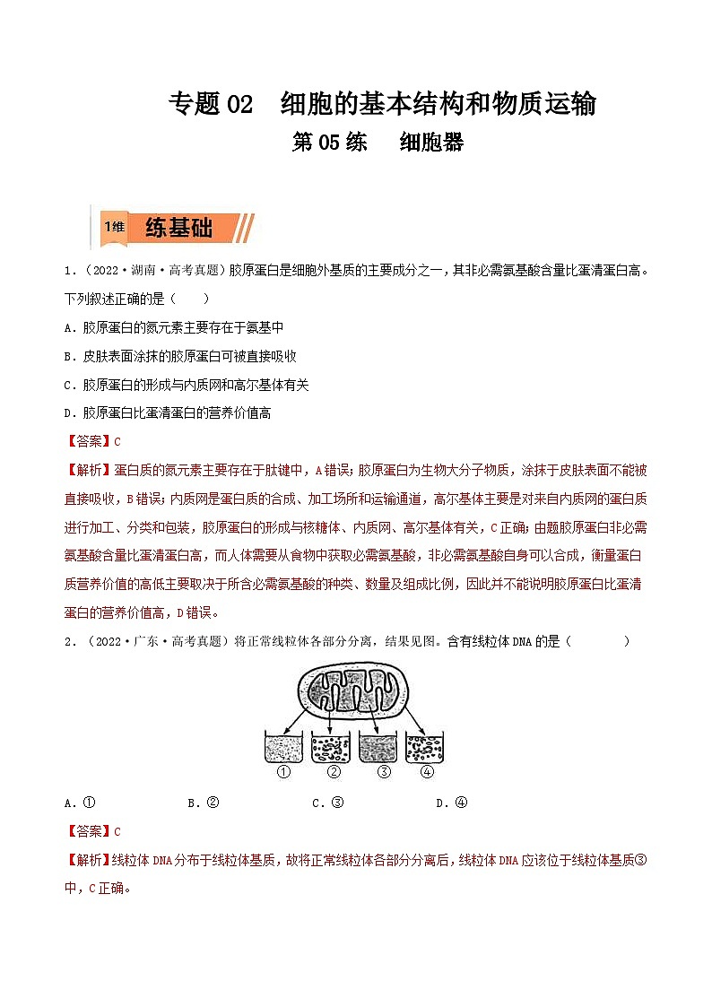 新高考生物一轮复习小题过关训练第05练 细胞器（含解析）01
