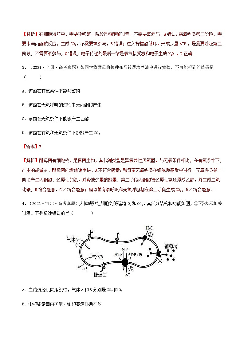 新高考生物一轮复习小题过关训练第08练 细胞呼吸（含解析）第2页