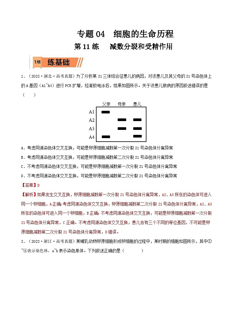 新高考生物一轮复习小题过关训练第11练 减数分裂和受精作用（含解析）第1页
