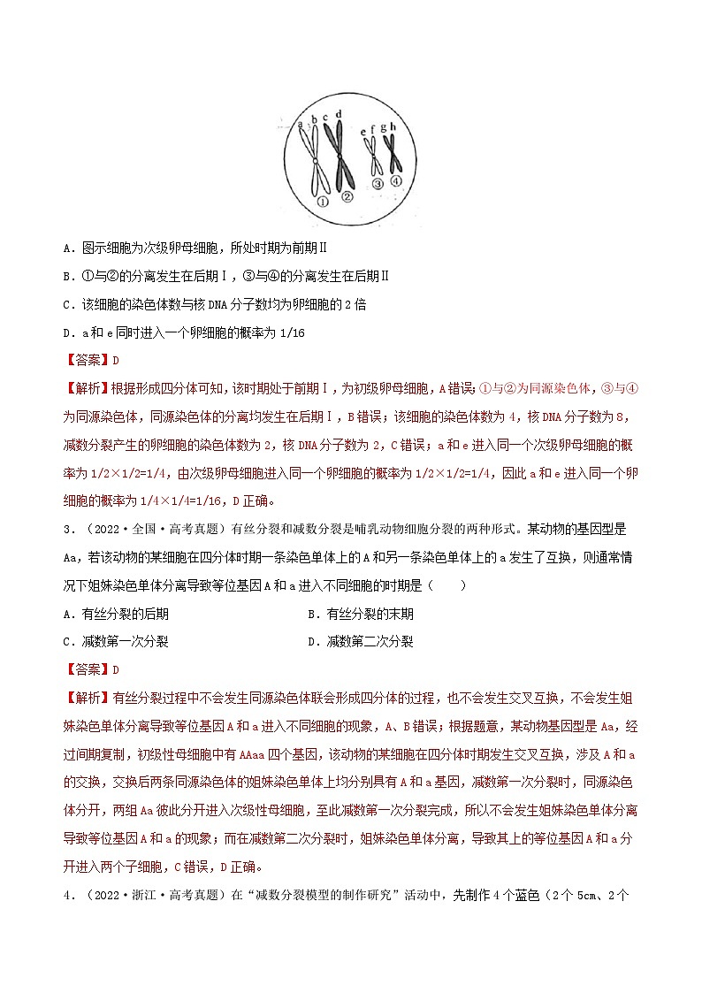 新高考生物一轮复习小题过关训练第11练 减数分裂和受精作用（含解析）第2页