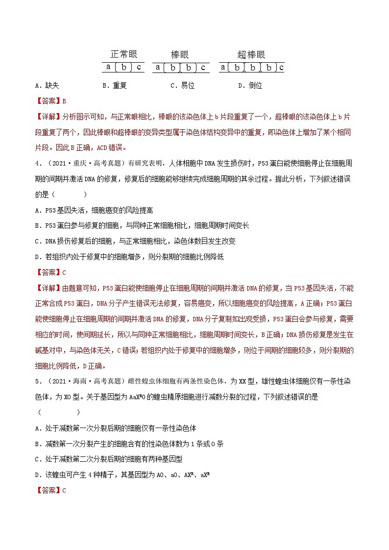 新高考生物一轮复习小题过关训练第20练 染色体变异（含解析）第2页