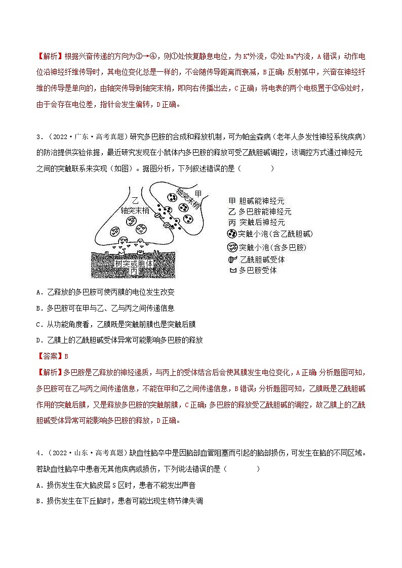 新高考生物一轮复习小题过关训练第23练 神经调节（含解析）第2页