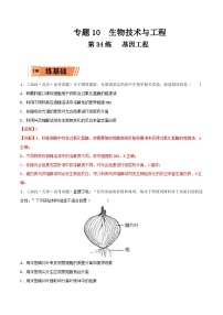 新高考生物一轮复习小题过关训练第34练 基因工程（含解析）