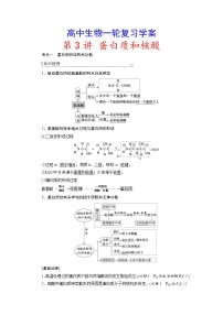 新高考生物一轮复习学案：第3讲　蛋白质和核酸（含解析）