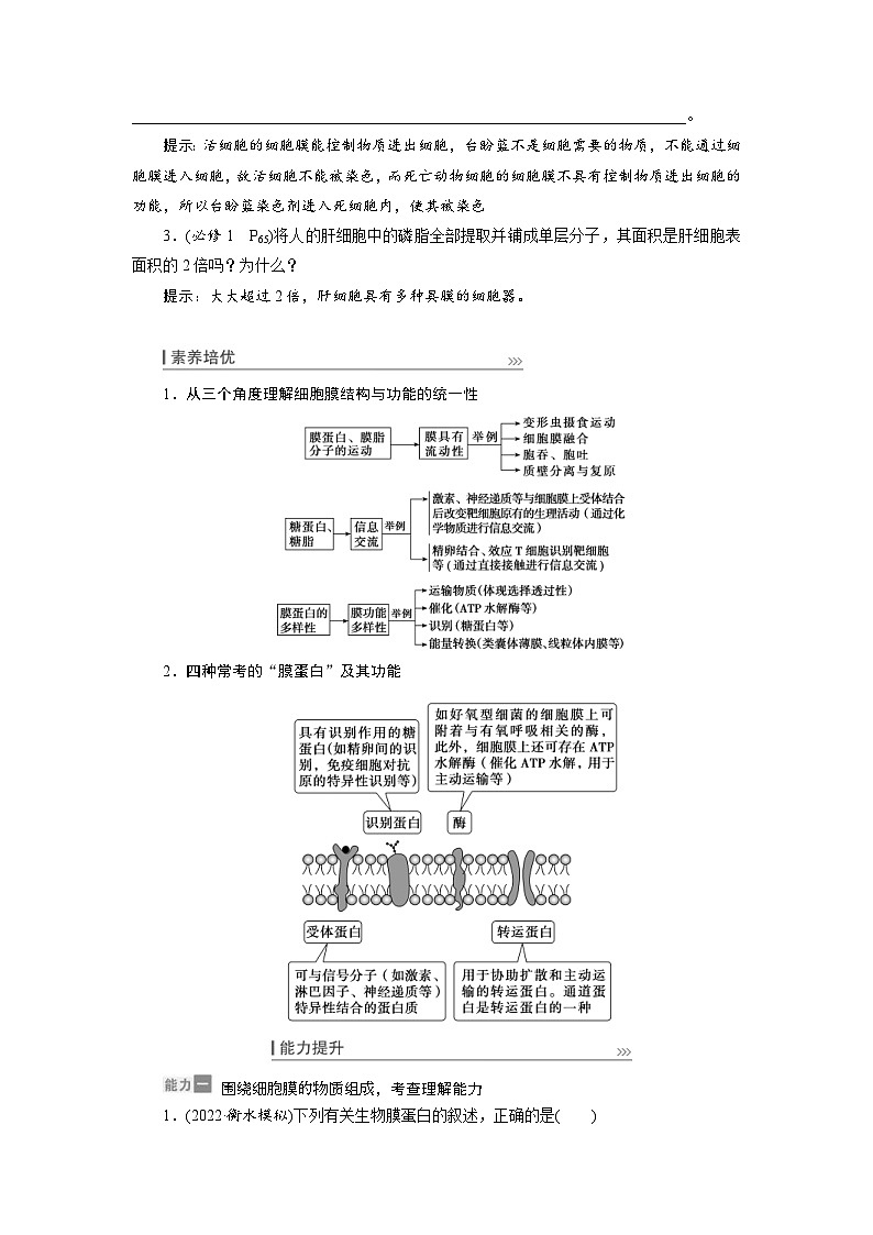 新高考生物一轮复习学案：第4讲　细胞膜和细胞核（含解析）03