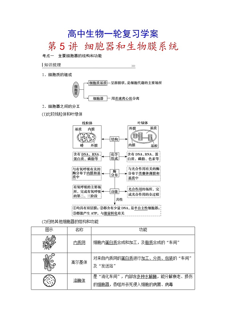 新高考生物一轮复习学案：第5讲　细胞器和生物膜系统（含解析）01