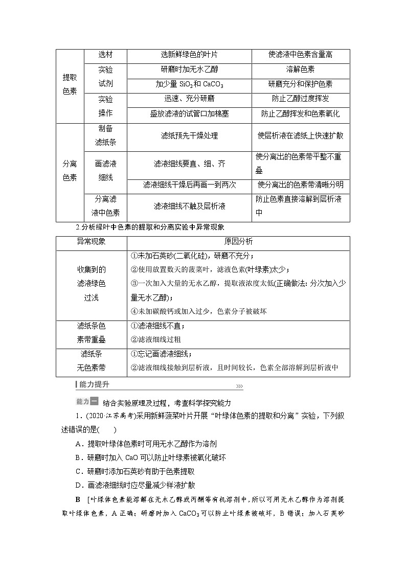 新高考生物一轮复习学案：第9讲   捕获光能的色素和结构、光合作用的原理（含解析）03
