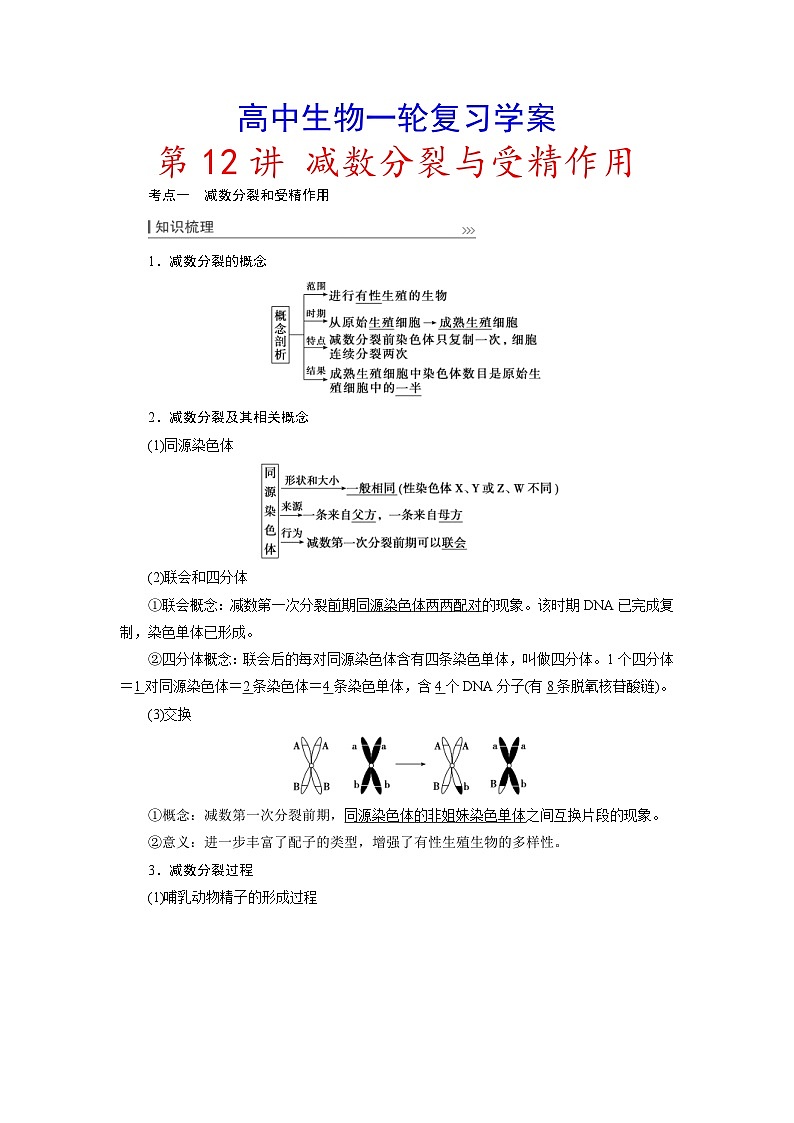 新高考生物一轮复习学案：第12讲　减数分裂与受精作用（含解析）01