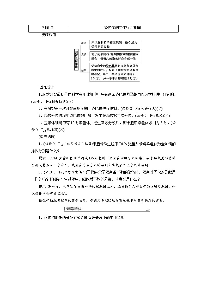 新高考生物一轮复习学案：第12讲　减数分裂与受精作用（含解析）03