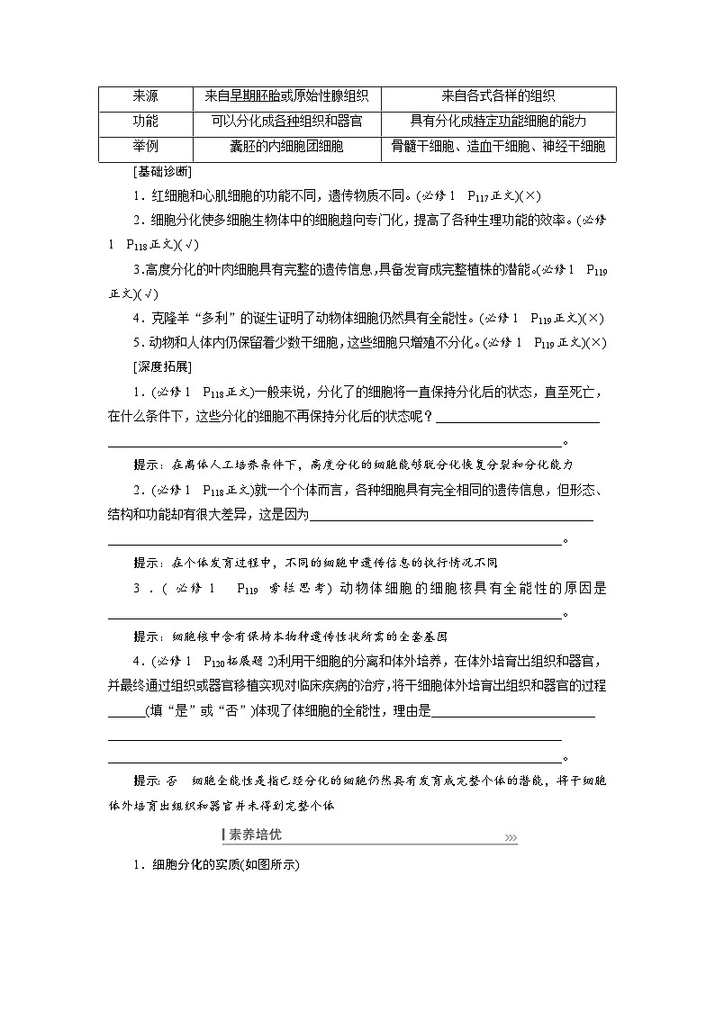 新高考生物一轮复习学案：第13讲　细胞的分化、衰老、凋亡与癌变（含解析）第2页