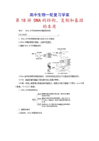 新高考生物一轮复习学案：第18讲　DNA的结构、复制和基因的本质（含解析）